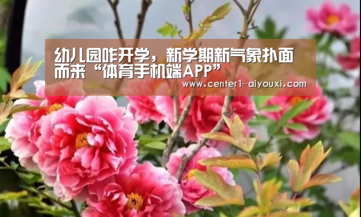 爱游戏app