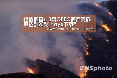 爱游戏体育下载
