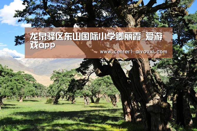 ayx下载