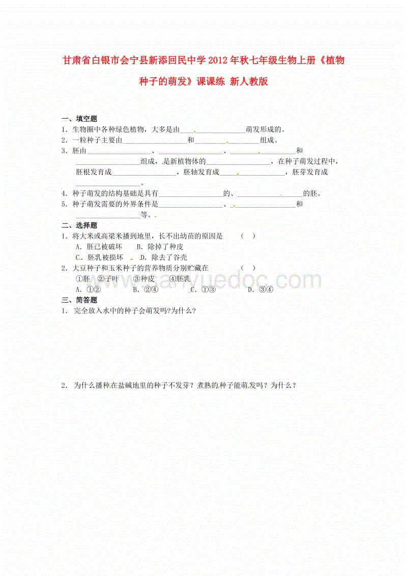 体育手机端APP
