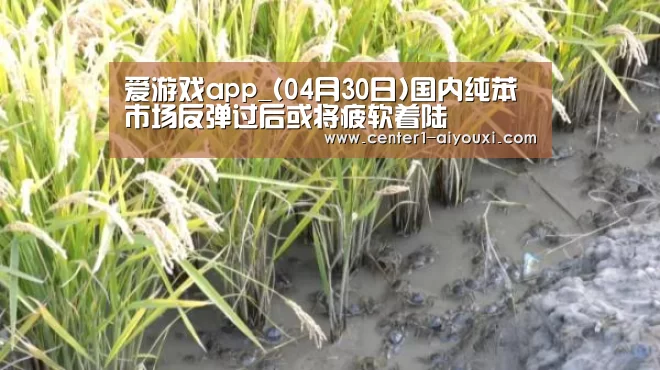 爱游戏app_(04月30日)国内纯苯市场反弹过后或将疲软着陆(图1) ayx下载