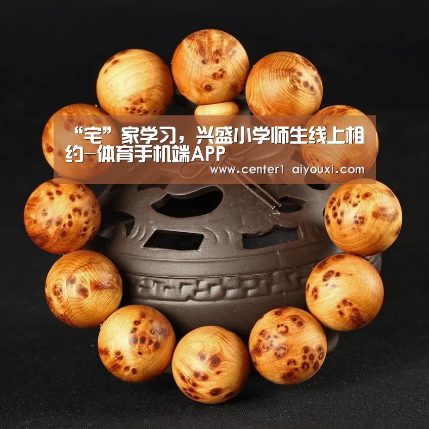 体育手机端APP